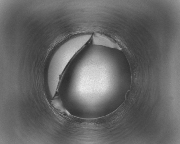 X0000080790685200701051354