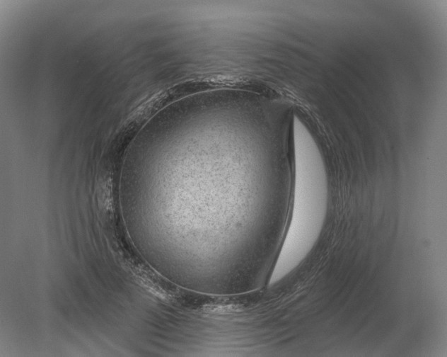 X0000080790689200701051354