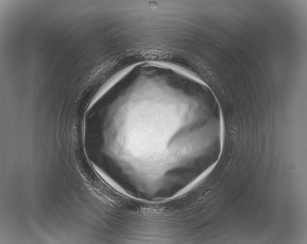 X0000080790690200701051354