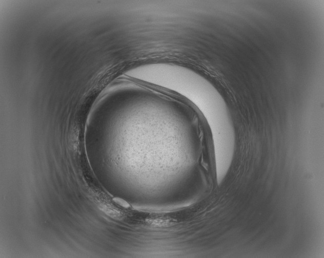 X0000080790693200701051354