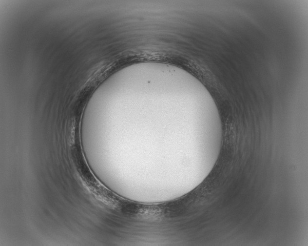 X0000080790694200701051354