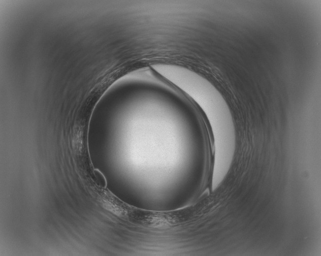 X0000080790697200701051354