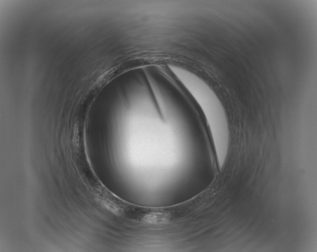 X0000080790700200701051354