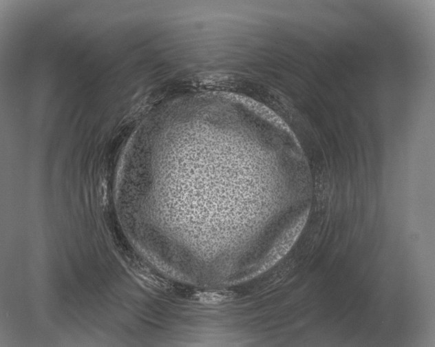 X0000080790703200701051354