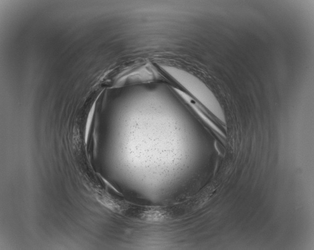 X0000080790704200701051354