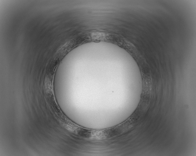 X0000080790705200701051354