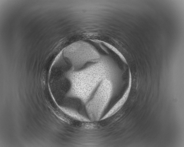 X0000080790710200701051353