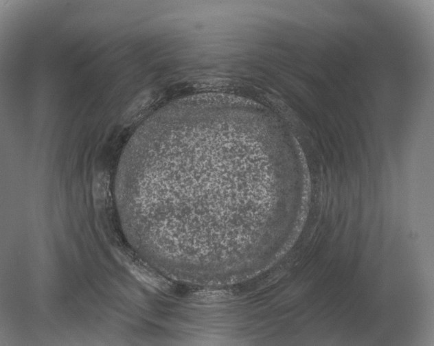 X0000080790711200701051353