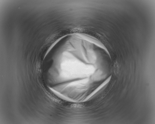 X0000080790714200701051353