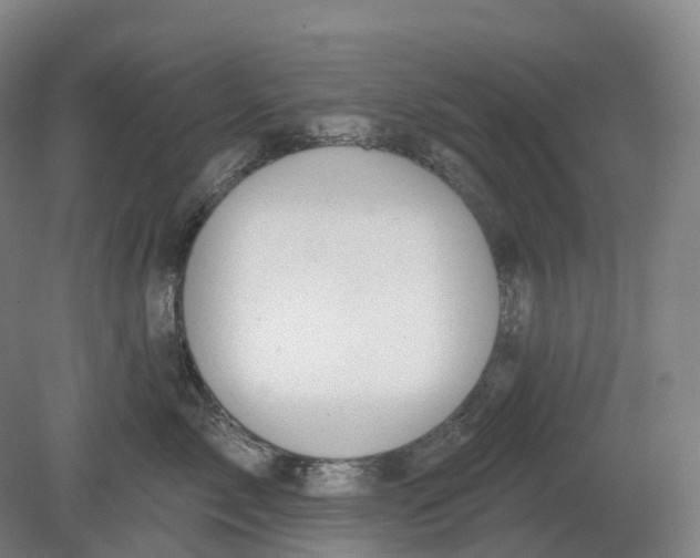 X0000080790717200701051353