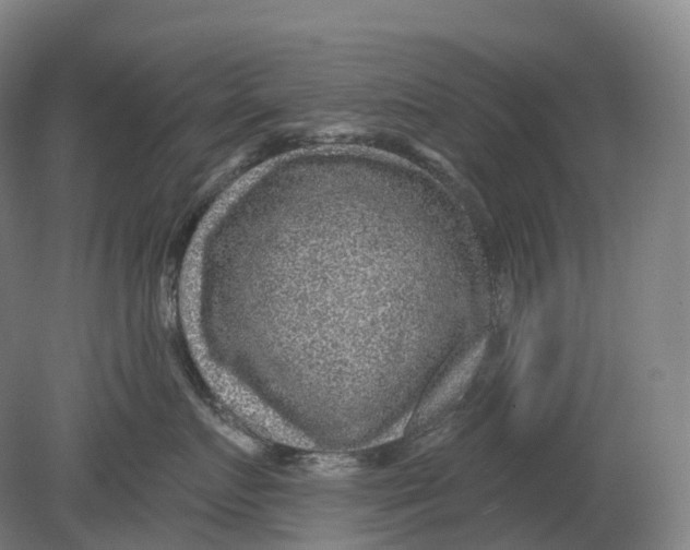 X0000080790719200701051353