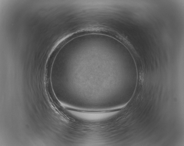 X0000080790724200701051353