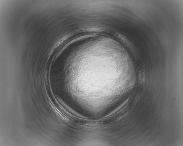 X0000080790725200701051353