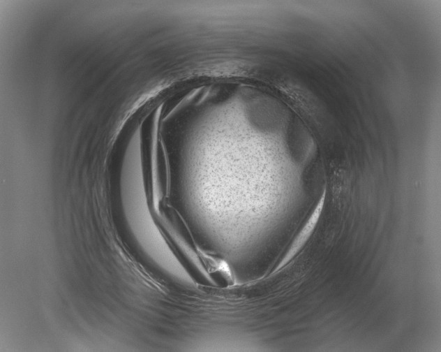 X0000080790727200701051353