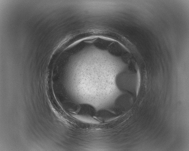 X0000080790730200701051353