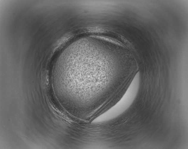 X0000080790731200701051353