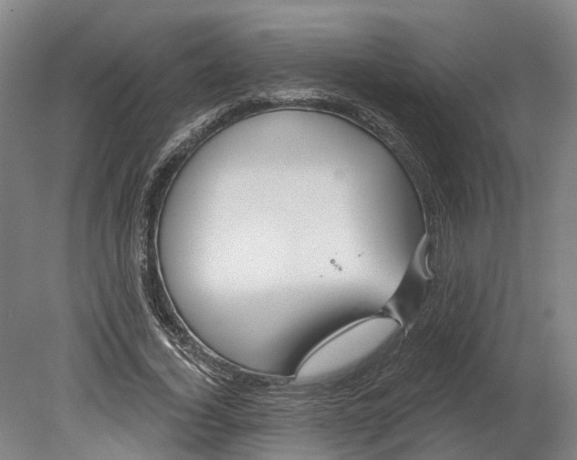 X0000080790732200701051353