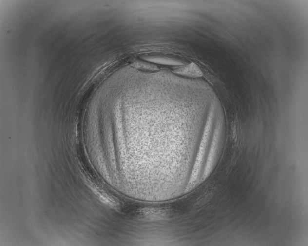 X0000080790733200701051353