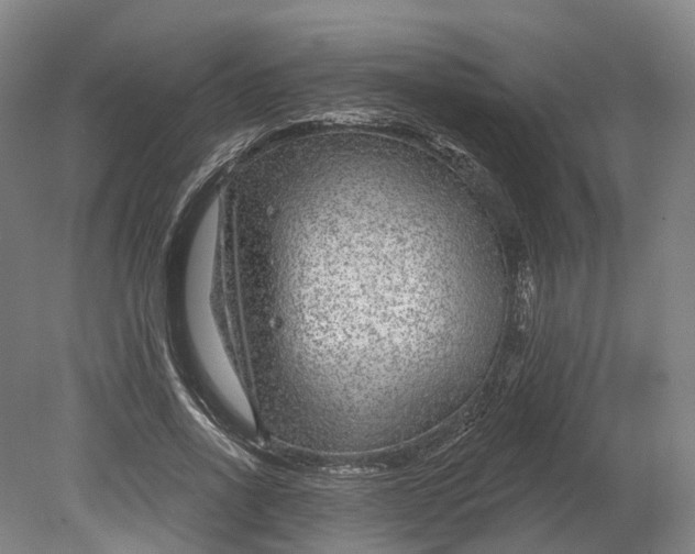 X0000080790734200701051353