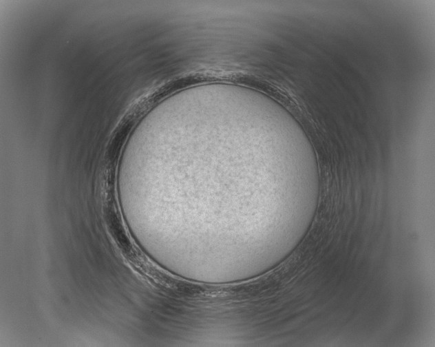 X0000080790736200701051353