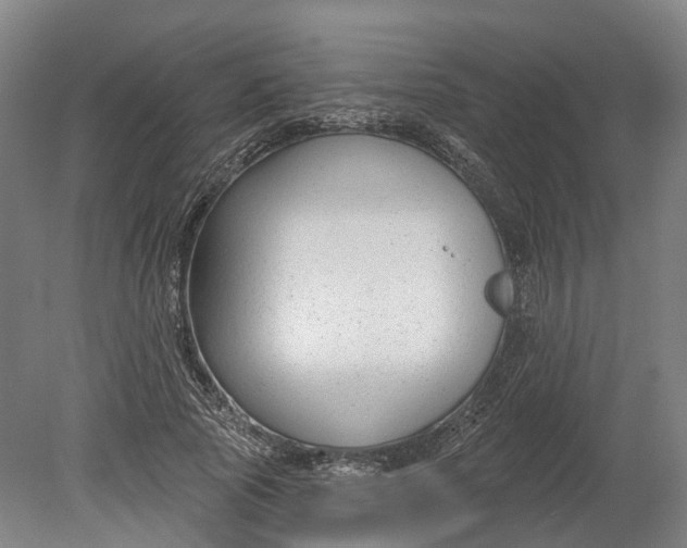 X0000080790737200701051353