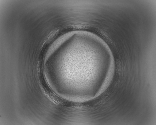 X0000080790738200701051353