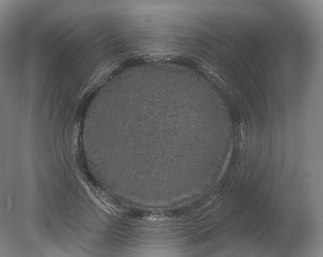 X0000080790742200701051353