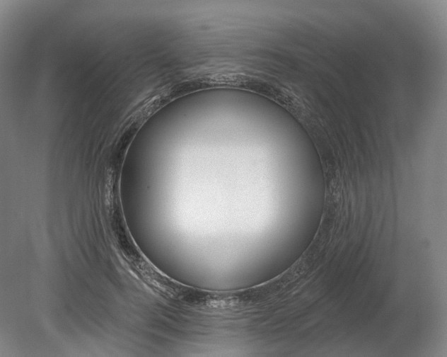 X0000080790744200701051353