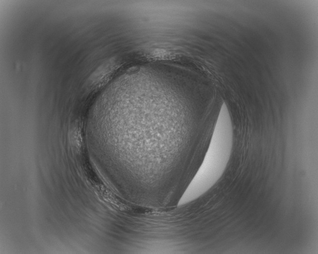 X0000080790746200701051353