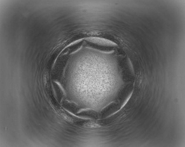 X0000080790747200701051353