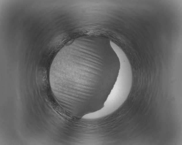 X0000080790748200701051353