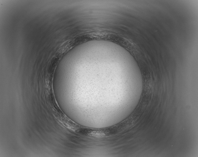 X0000080790749200701051353