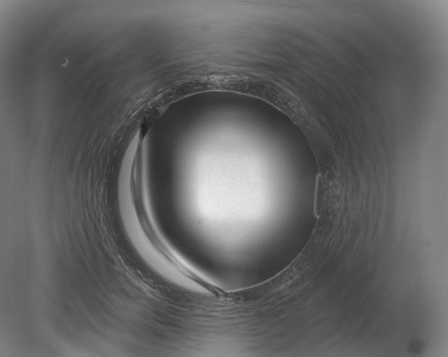 X0000080790750200701051353