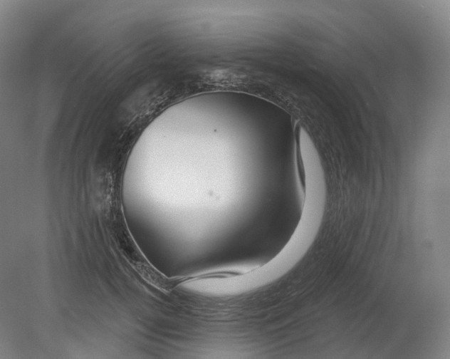 X0000080790752200701051353
