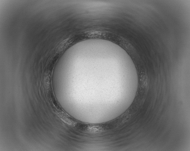 X0000080790753200701051353