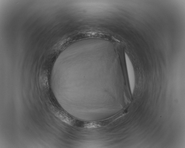 X0000080790754200701051353