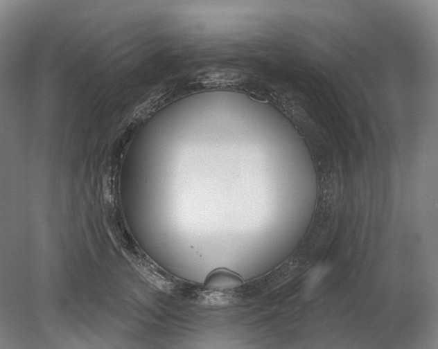 X0000080790755200701051353