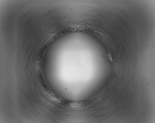 X0000080790756200701051353