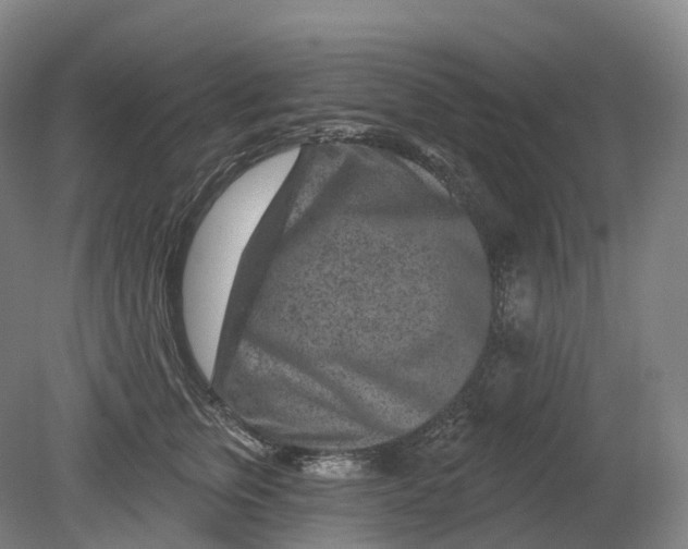 X0000080790759200701051353