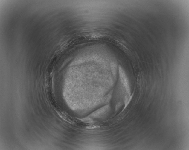 X0000080790760200701051353