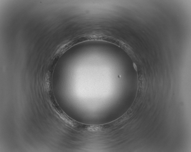X0000080790762200701051353