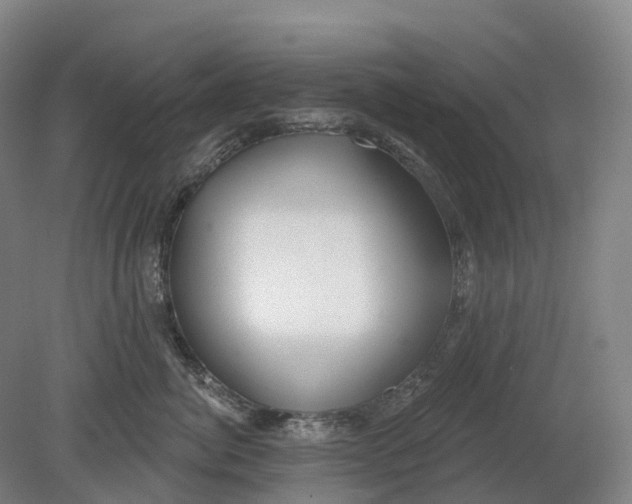 X0000080790764200701051353