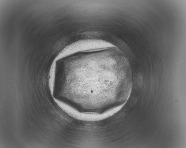 X0000080790765200701051353
