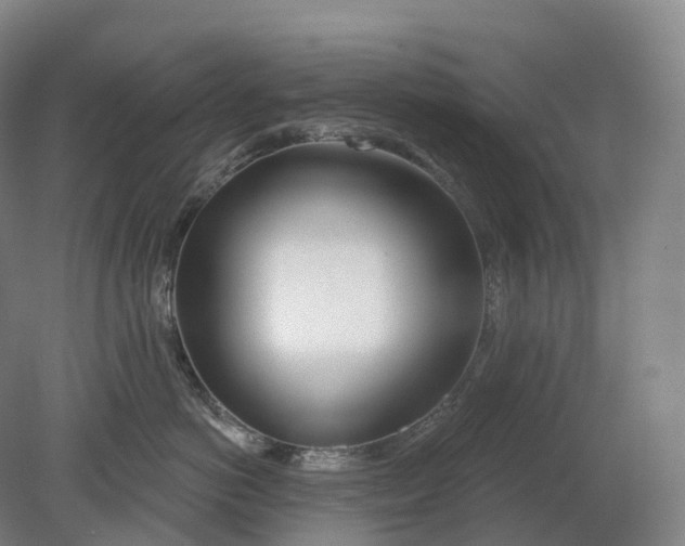 X0000080790766200701051353