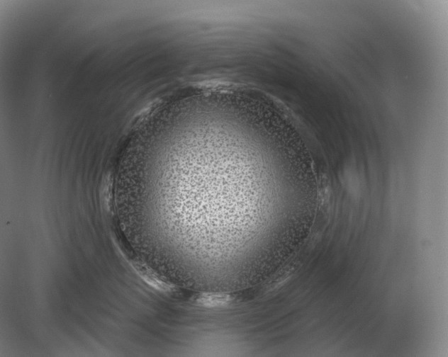 X0000080790767200701051353