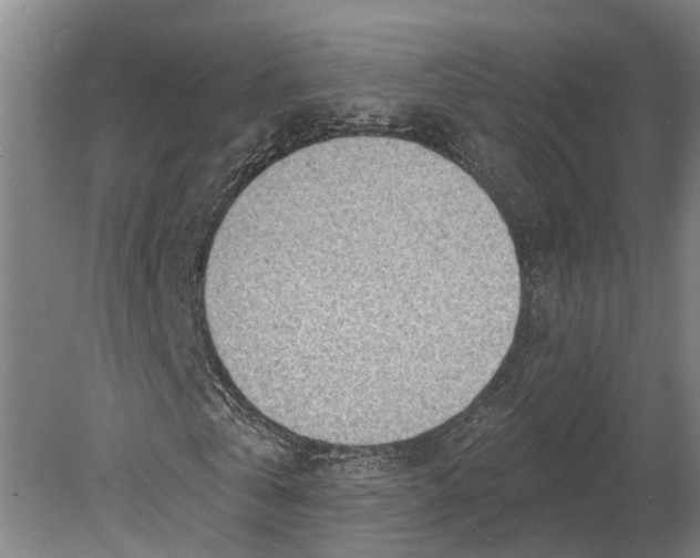 X0000080790769200701051352