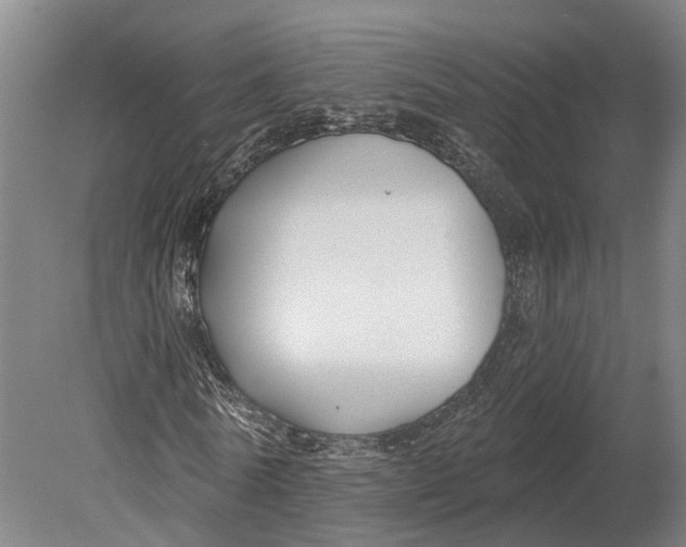 X0000080790770200701051352