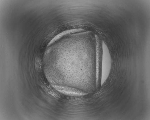 X0000080790772200701051352