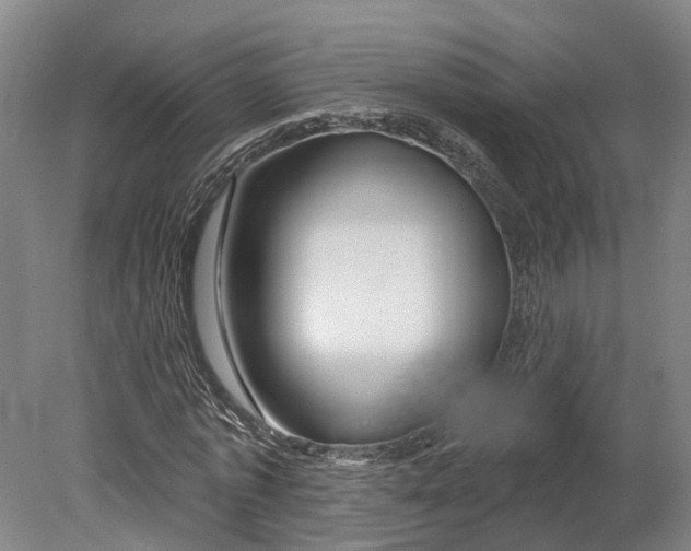 X0000080790773200701051352