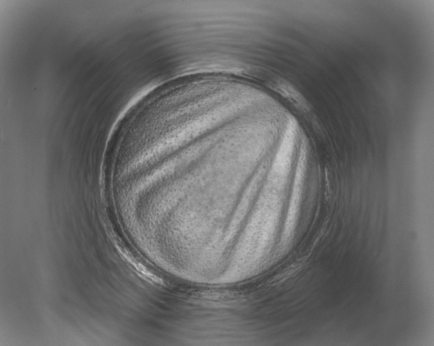 X0000080790780200701051352